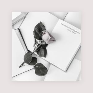 贱奴sao货扇得烂你sb微博
